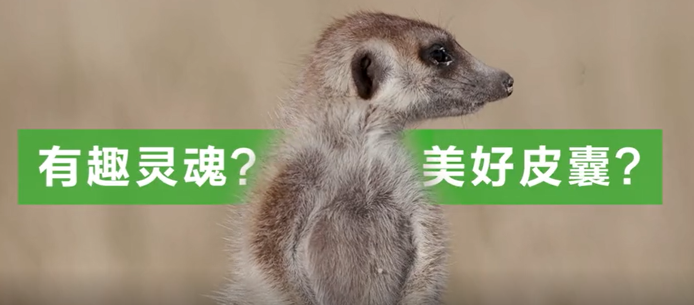 任宇 个人博客